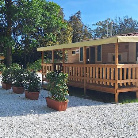 Mobile Home Viareggio - Including Airco- Camping Paradiso - G008 외부 사진