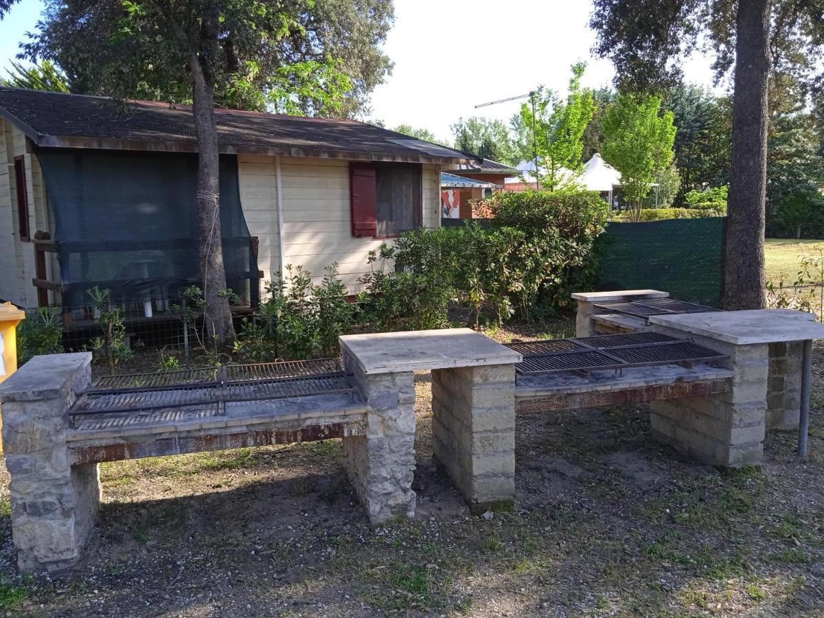 Mobile Home Viareggio - Including Airco- Camping Paradiso - G008 외부 사진